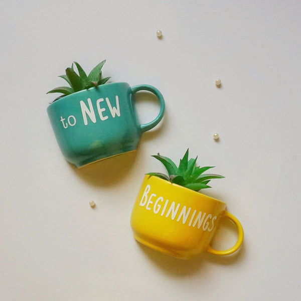 To new beginnings - Cup Planters - Mug Planters - Wall Planters - Garden Wall Decor - Balcony Decor - Succulent Planter - Small Ceramic Pots - Plant Lover Gifts - Buy Online India - Free Shipping